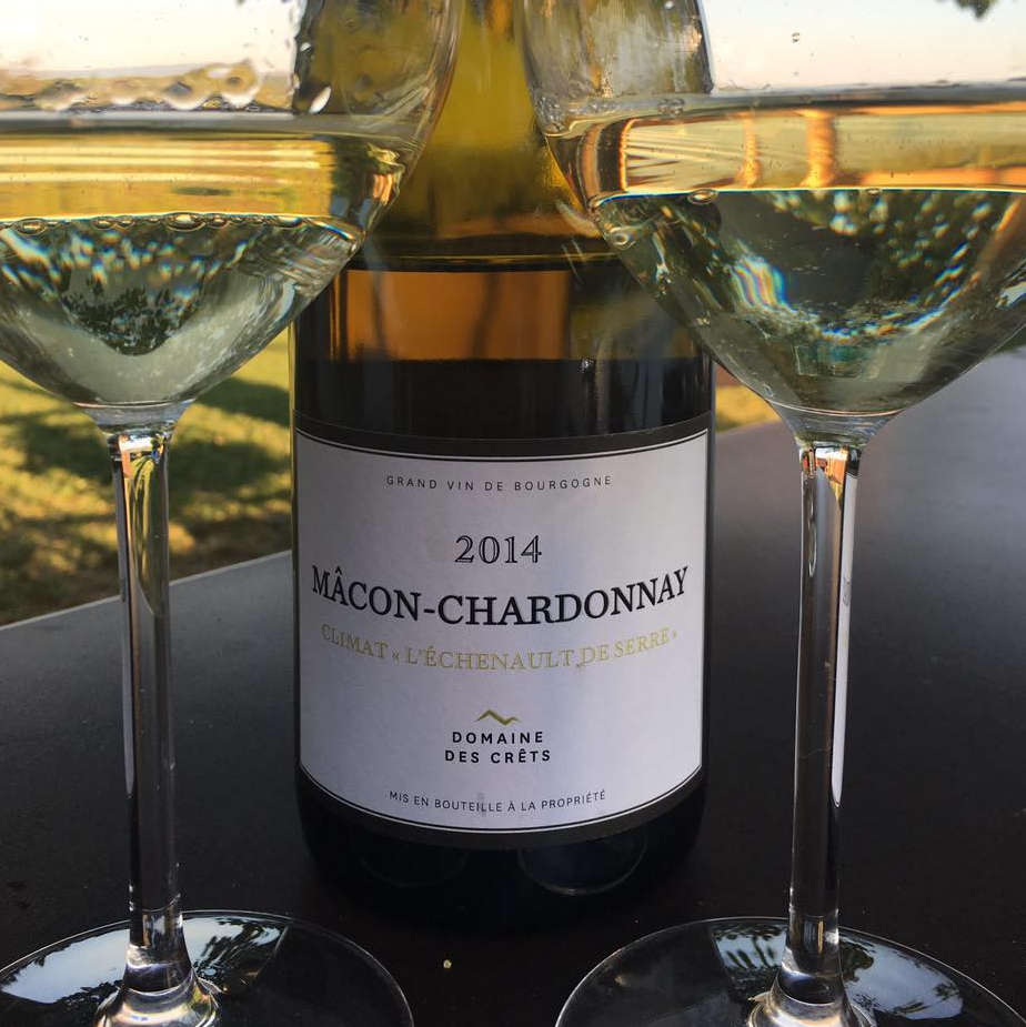 dégustation de Macon-Chardonnay